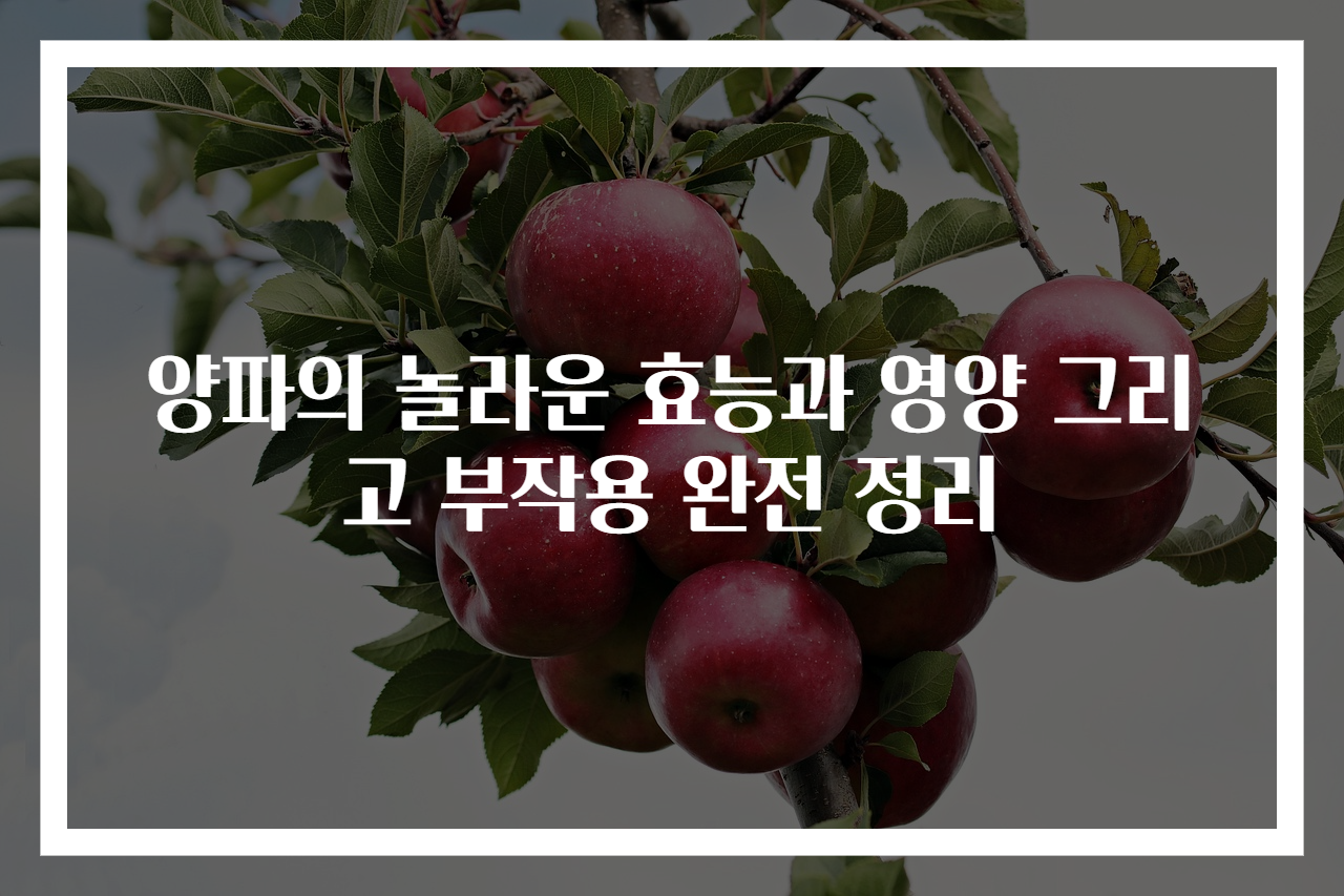 양파의 놀라운 효능과 영양 그리고 부작용 완전 정리