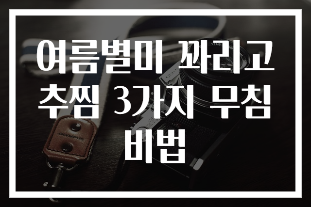 여름별미 꽈리고추찜 3가지 무침 비법