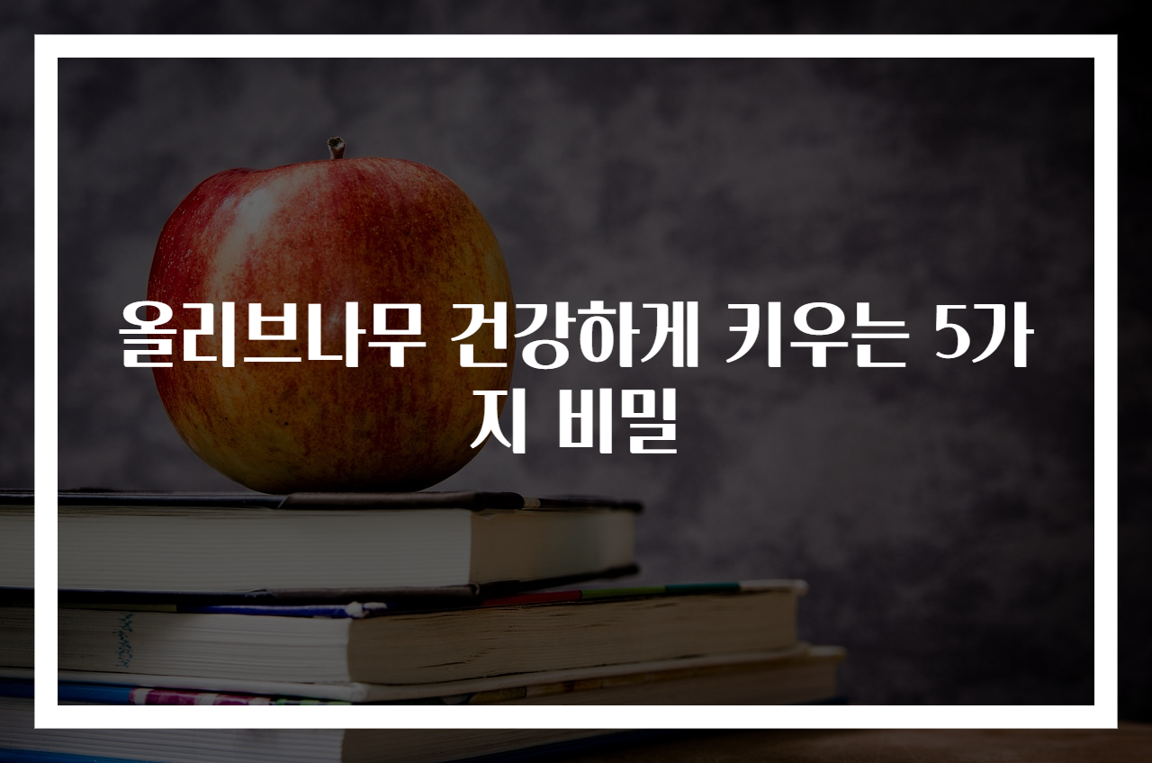 올리브나무 건강하게 키우는 5가지 비밀