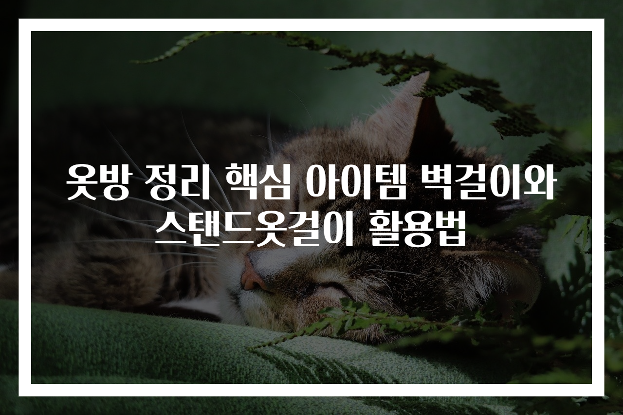 옷방 정리 핵심 아이템 벽걸이와 스탠드옷걸이 활용법