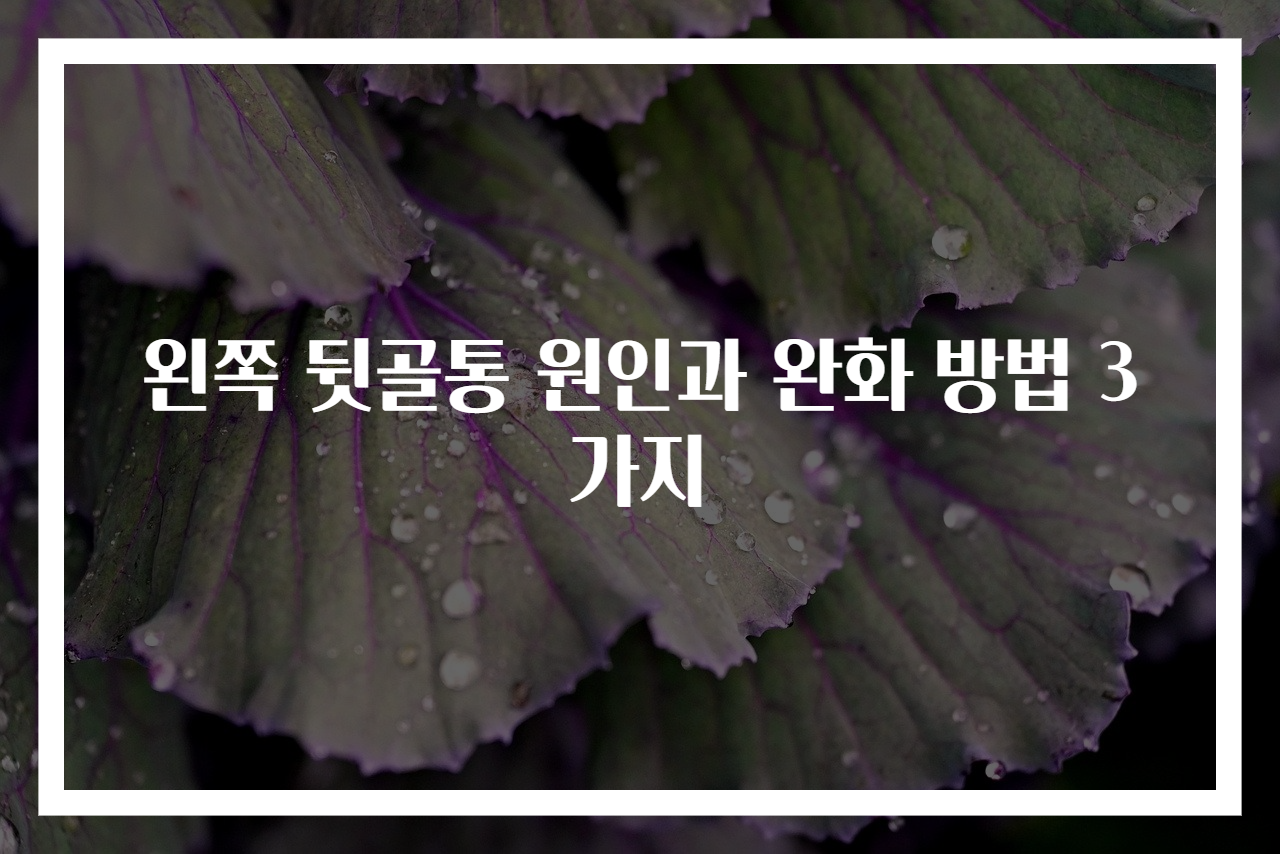 왼쪽 뒷골통 원인과 완화 방법 3가지