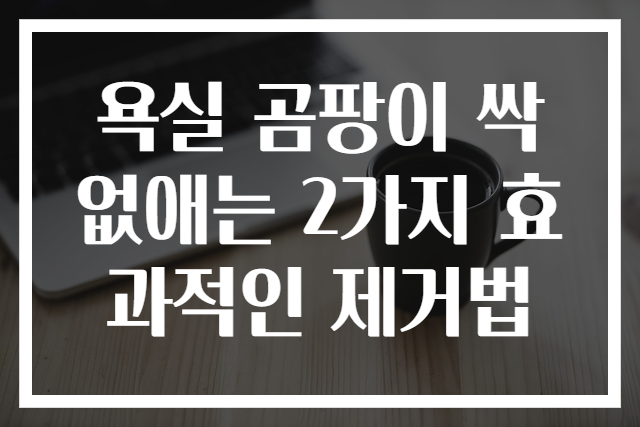 욕실 곰팡이 싹 없애는 2가지 효과적인 제거법
