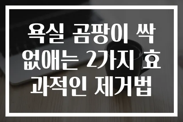 욕실 곰팡이 싹 없애는 2가지 효과적인 제거법