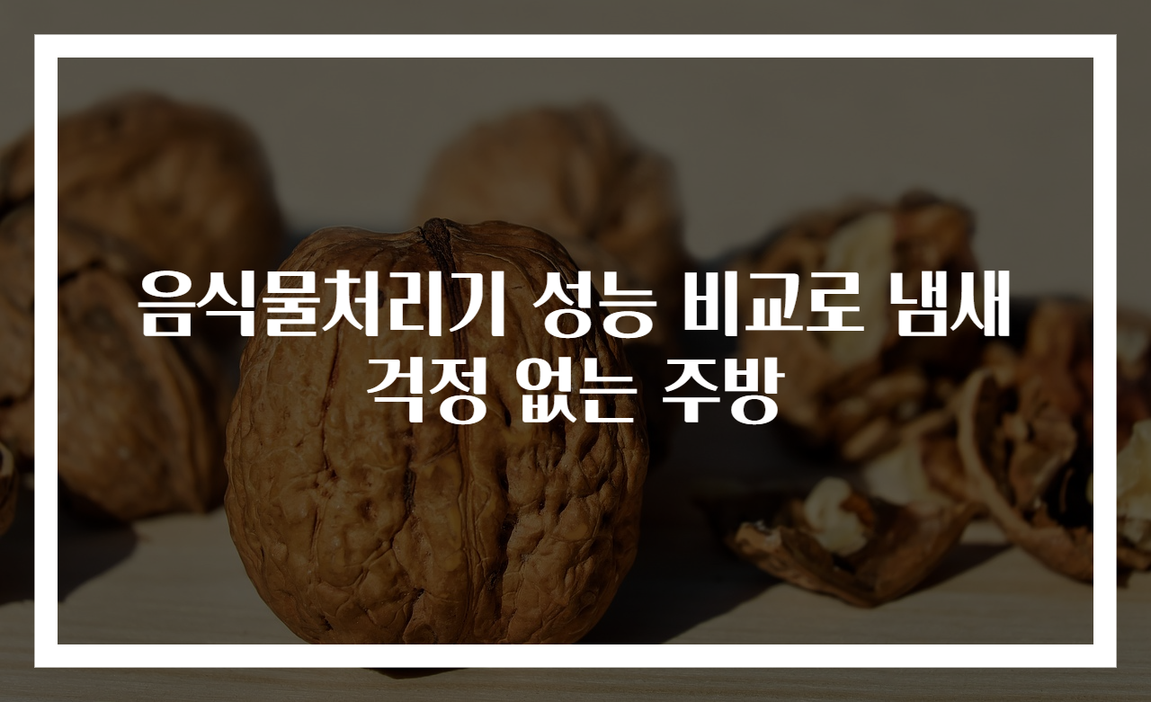음식물처리기 성능 비교로 냄새 걱정 없는 주방