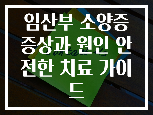 임산부 소양증 증상과 원인 안전한 치료 가이드