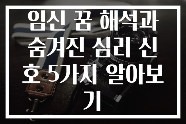 임신 꿈 해석과 숨겨진 심리 신호 5가지 알아보기