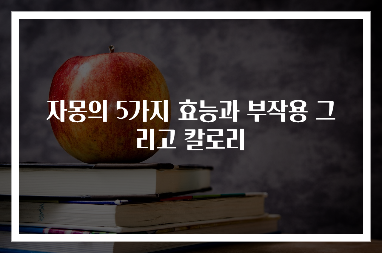자몽의 5가지 효능과 부작용 그리고 칼로리