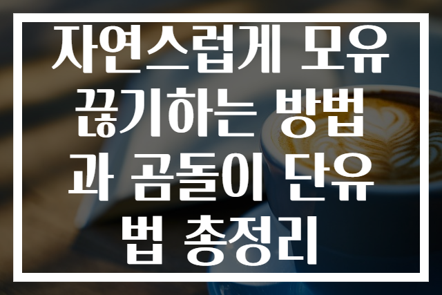 자연스럽게 모유 끊기하는 방법과 곰돌이 단유법 총정리
