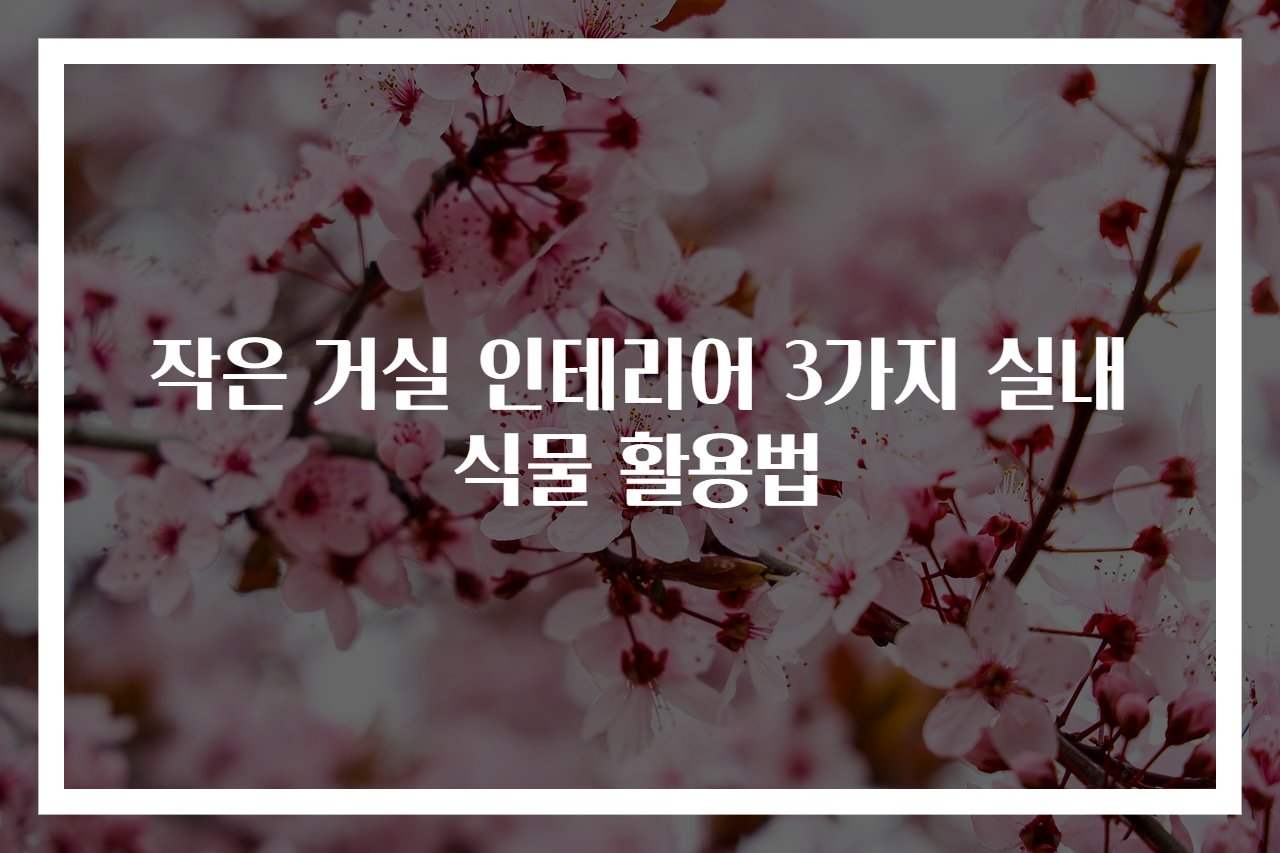 작은 거실 인테리어 3가지 실내식물 활용법