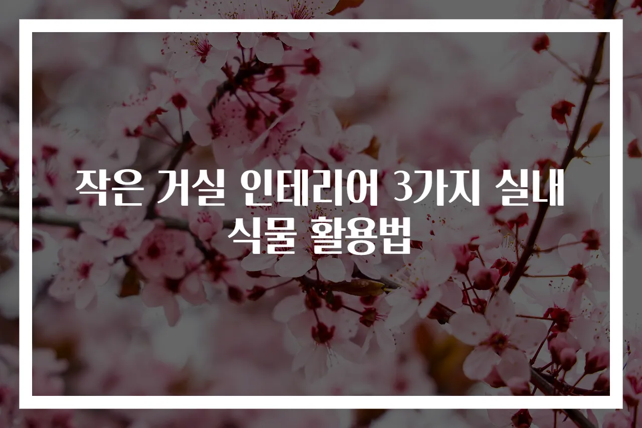 작은 거실 인테리어 3가지 실내식물 활용법