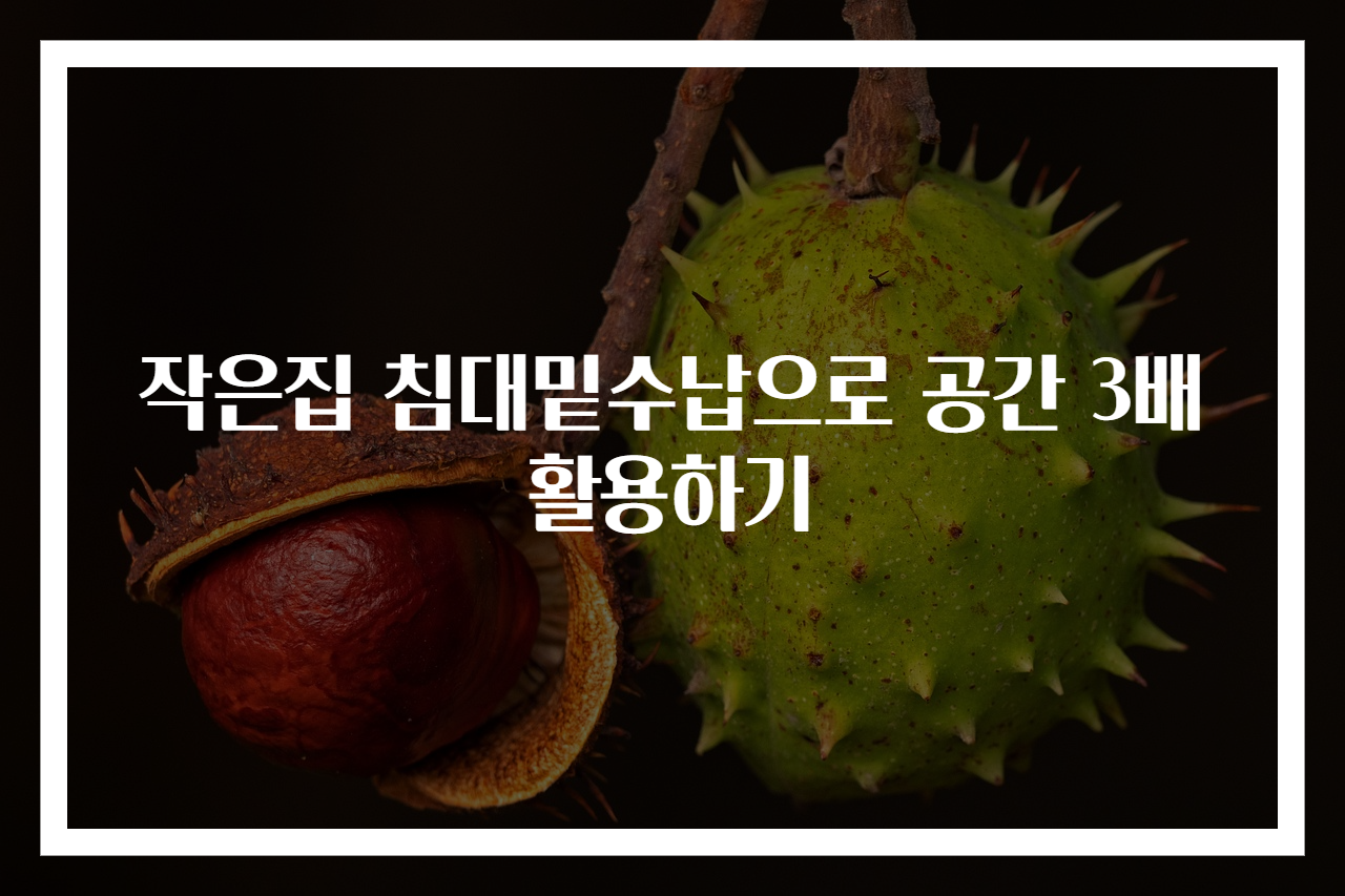작은집 침대밑수납으로 공간 3배 활용하기