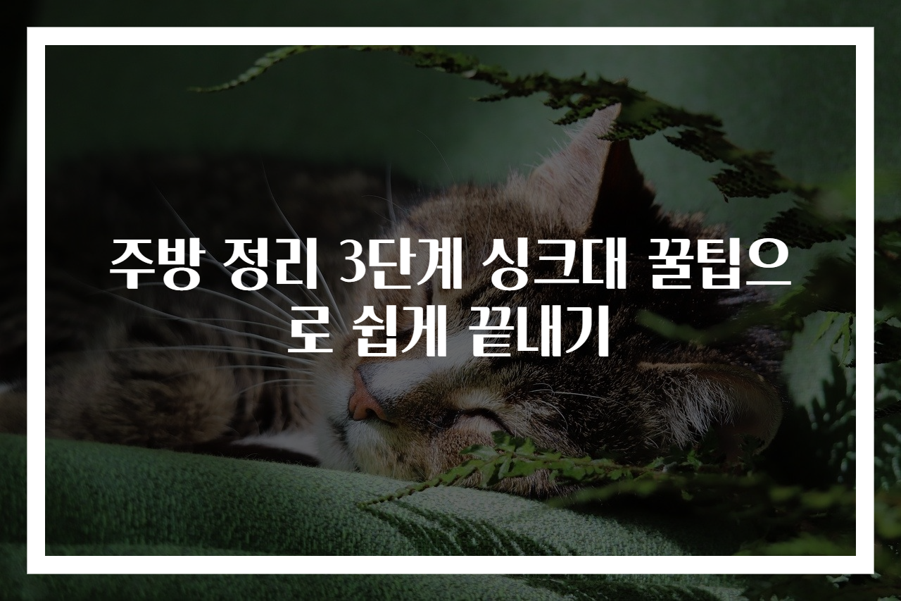 주방 정리 3단계 싱크대 꿀팁으로 쉽게 끝내기