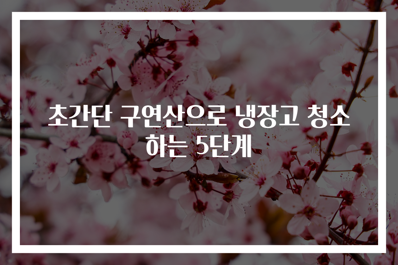 초간단 구연산으로 냉장고 청소하는 5단계