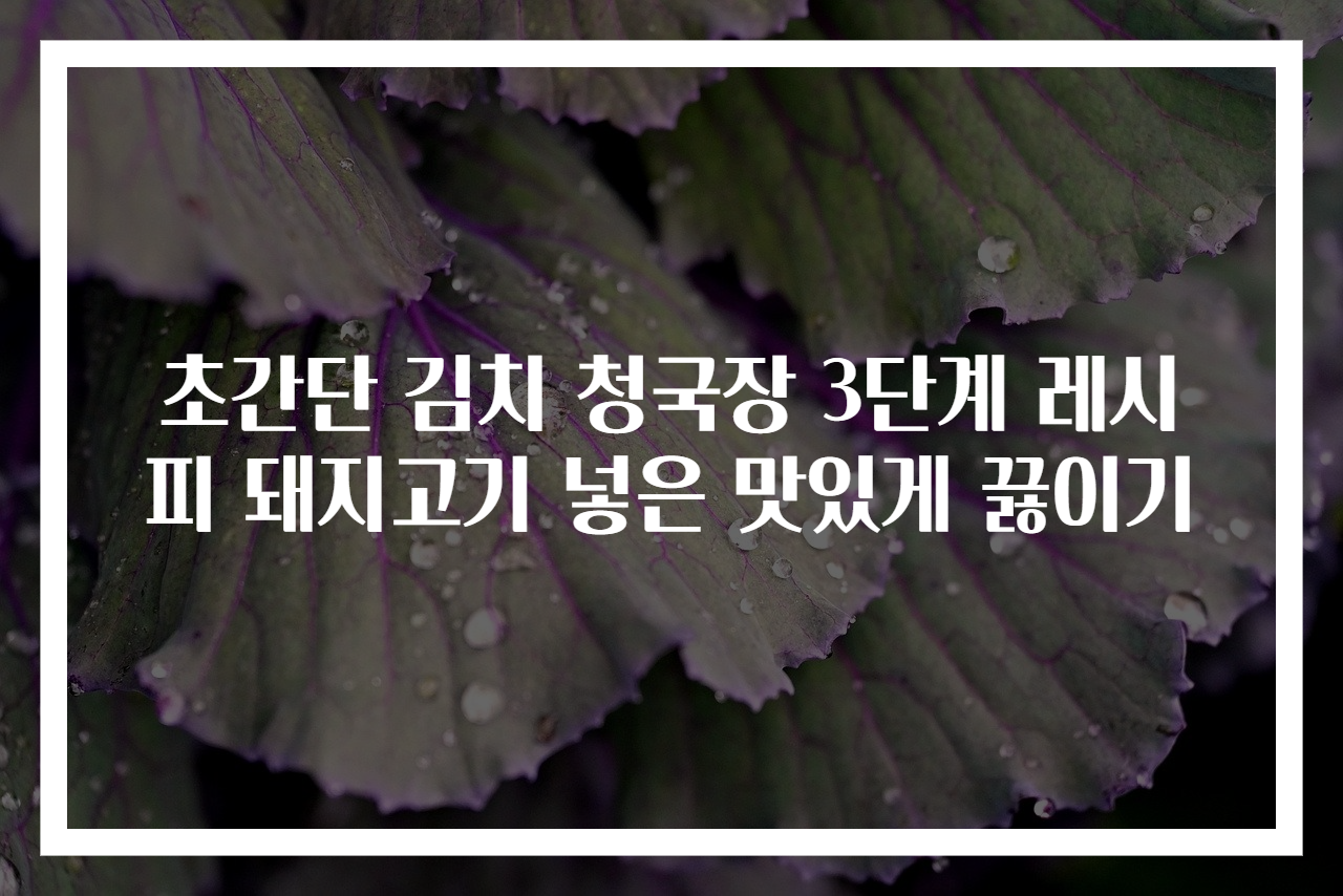 초간단 김치 청국장 3단계 레시피 돼지고기 넣은 맛있게 끓이기