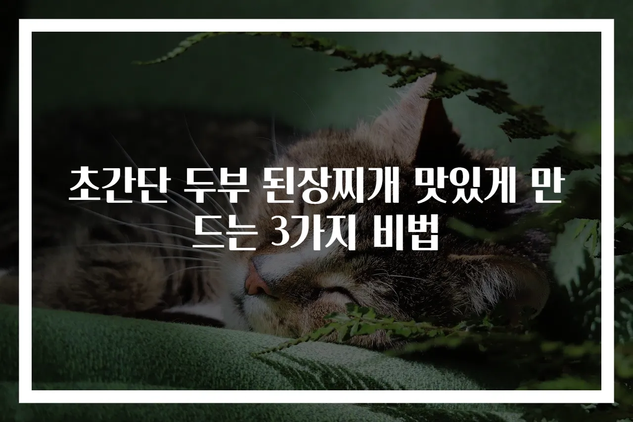 초간단 두부 된장찌개 맛있게 만드는 3가지 비법