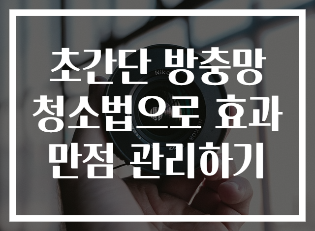 초간단 방충망청소법으로 효과 만점 관리하기