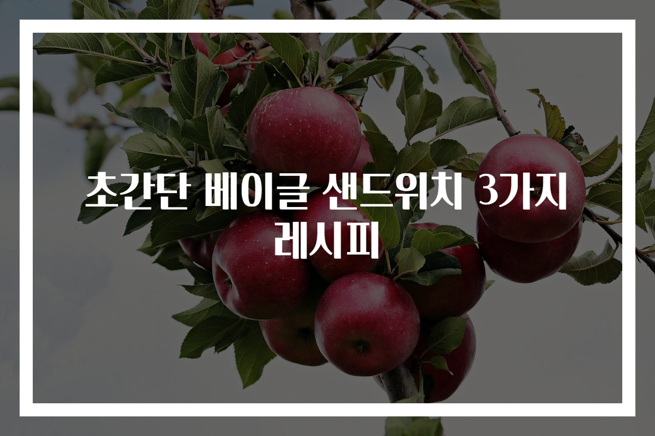 초간단 베이글 샌드위치 3가지 레시피