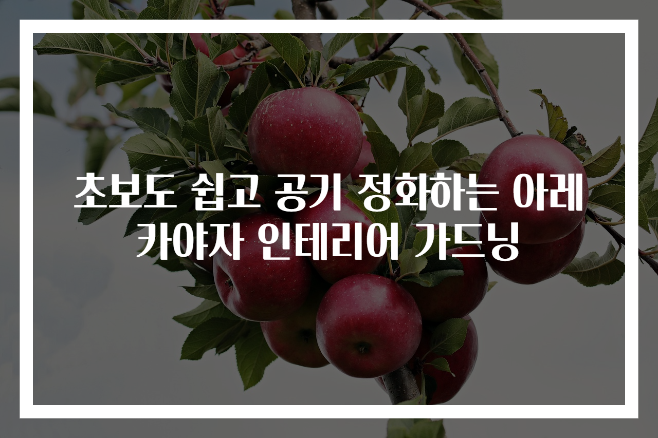 초보도 쉽고 공기 정화하는 아레카야자 인테리어 가드닝