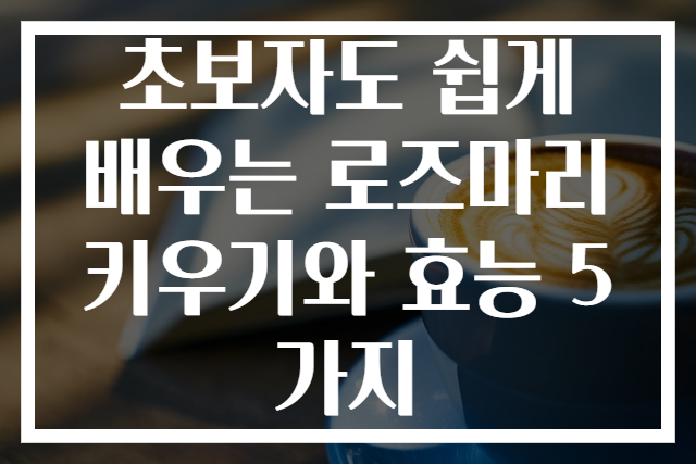 초보자도 쉽게 배우는 로즈마리 키우기와 효능 5가지