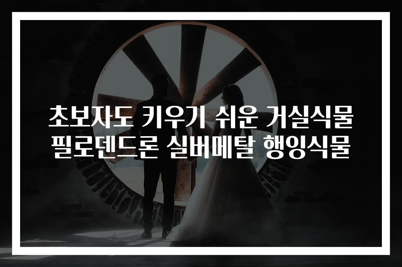 초보자도 키우기 쉬운 거실식물 필로덴드론 실버메탈 행잉식물