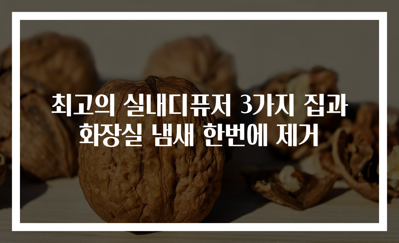 최고의 실내디퓨저 3가지 집과 화장실 냄새 한번에 제거