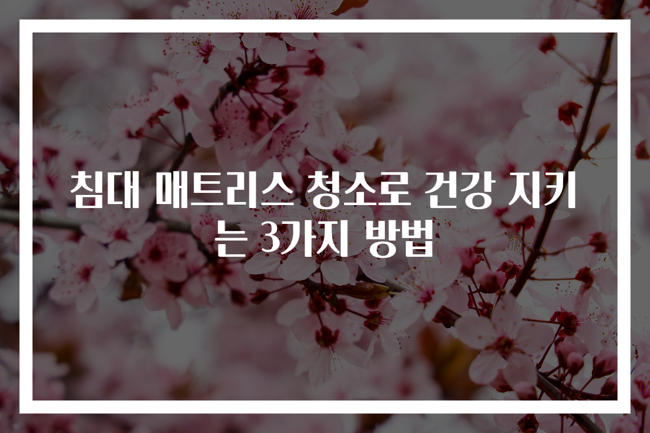 침대 매트리스 청소로 건강 지키는 3가지 방법