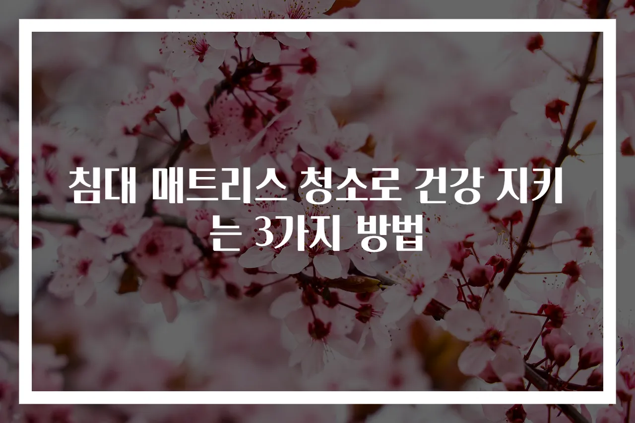 침대 매트리스 청소로 건강 지키는 3가지 방법