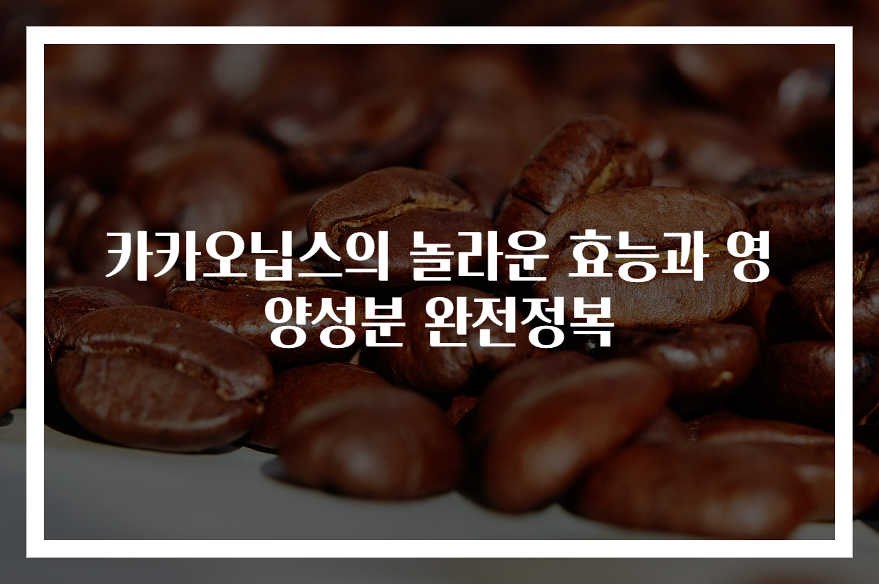 카카오닙스의 놀라운 효능과 영양성분 완전정복