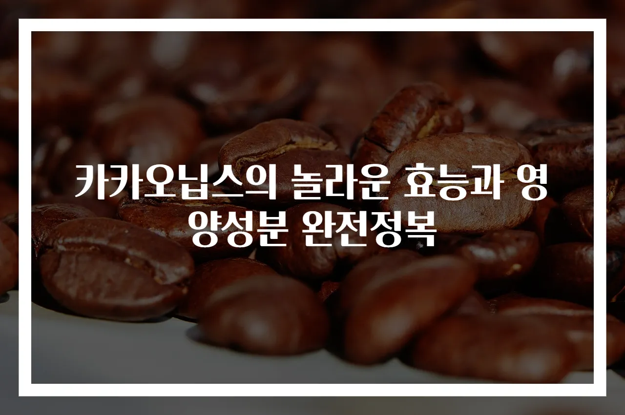 카카오닙스의 놀라운 효능과 영양성분 완전정복