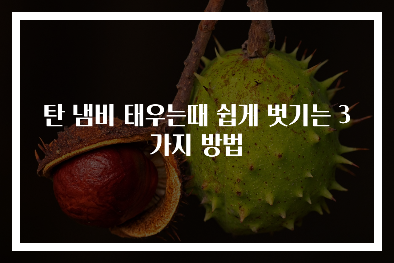 탄 냄비 태우는때 쉽게 벗기는 3가지 방법