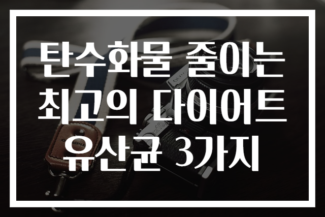 탄수화물 줄이는 최고의 다이어트 유산균 3가지