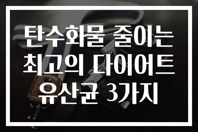 탄수화물 줄이는 최고의 다이어트 유산균 3가지