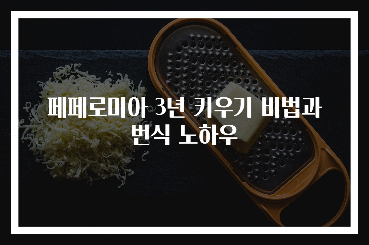 페페로미아 3년 키우기 비법과 번식 노하우