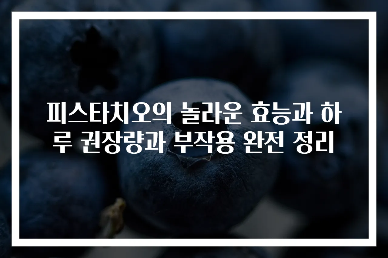 피스타치오의 놀라운 효능과 하루 권장량과 부작용 완전 정리