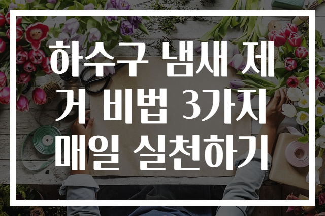 하수구 냄새 제거 비법 3가지 매일 실천하기