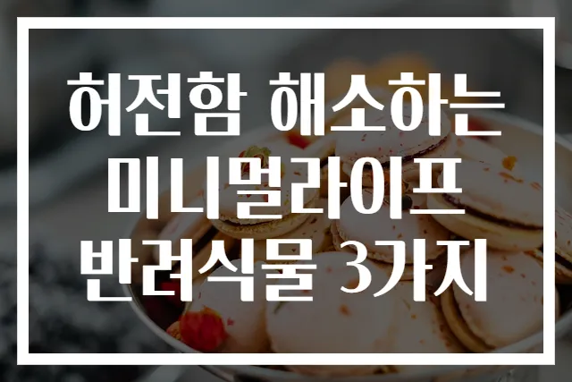 허전함 해소하는 미니멀라이프 반려식물 3가지