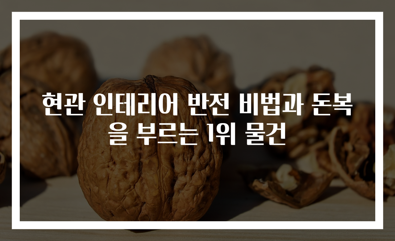 현관 인테리어 반전 비법과 돈복을 부르는 1위 물건