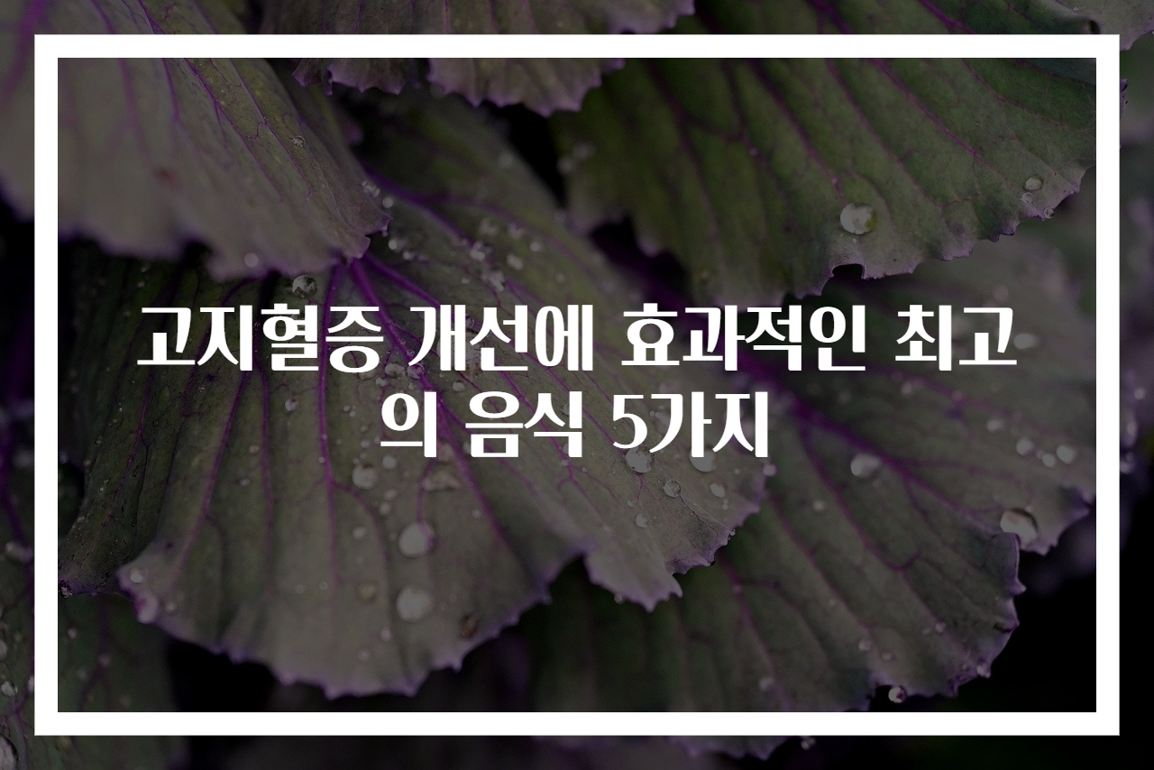 고지혈증 개선에 효과적인 최고의 음식 5가지