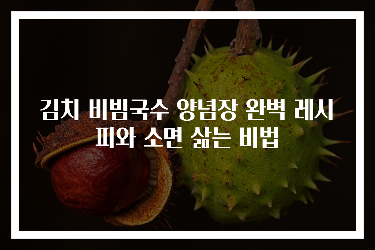 김치 비빔국수 양념장 완벽 레시피와 소면 삶는 비법