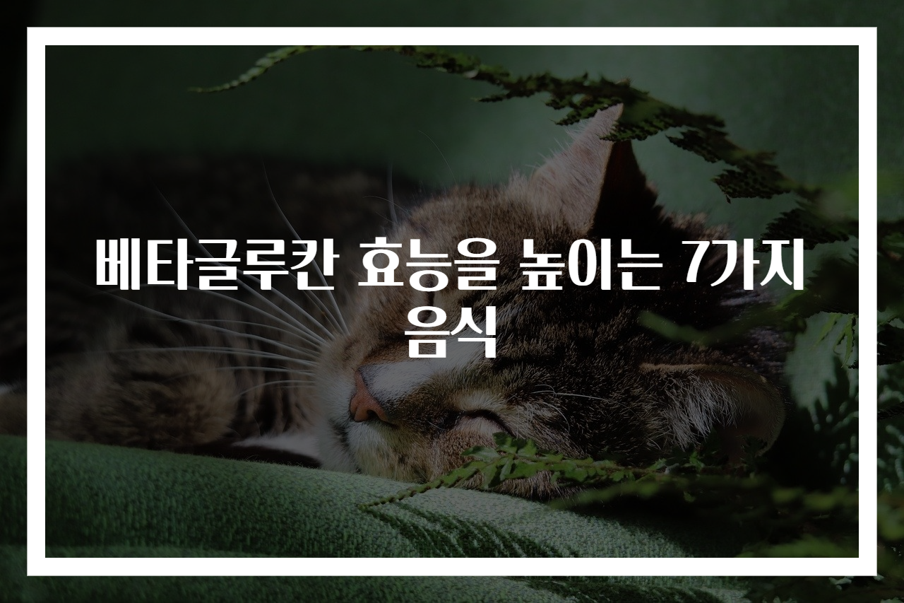 베타글루칸 효능을 높이는 7가지 음식