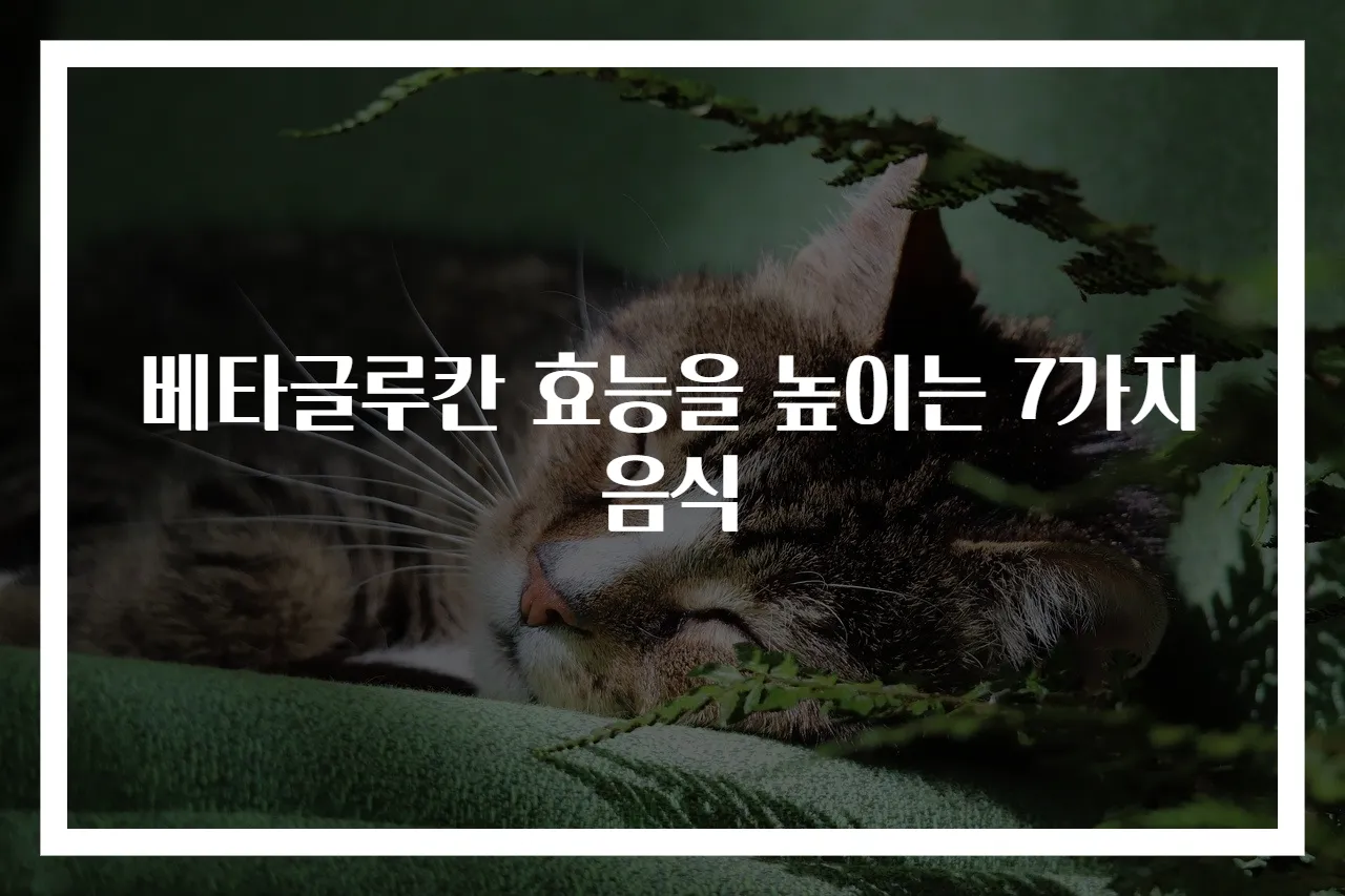베타글루칸 효능을 높이는 7가지 음식