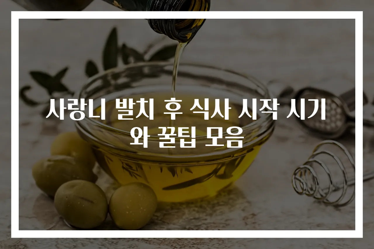 사랑니 발치 후 식사 시작 시기와 꿀팁 모음