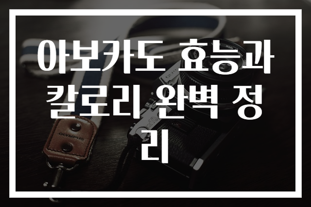 아보카도 효능과 칼로리 완벽 정리