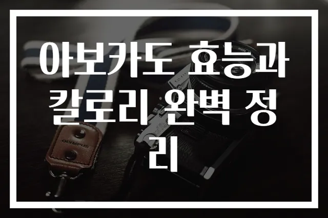 아보카도 효능과 칼로리 완벽 정리