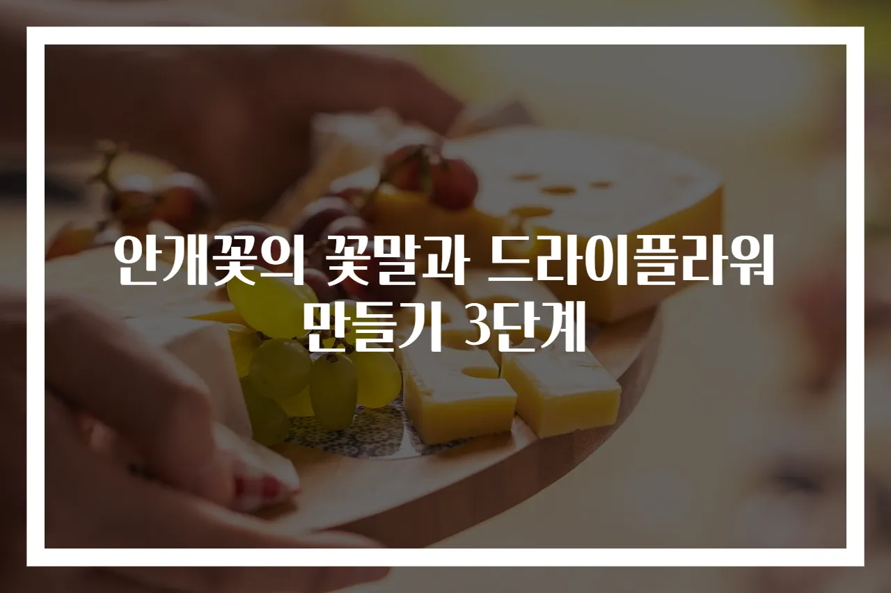 안개꽃의 꽃말과 드라이플라워 만들기 3단계