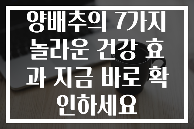 양배추의 7가지 놀라운 건강 효과 지금 바로 확인하세요
