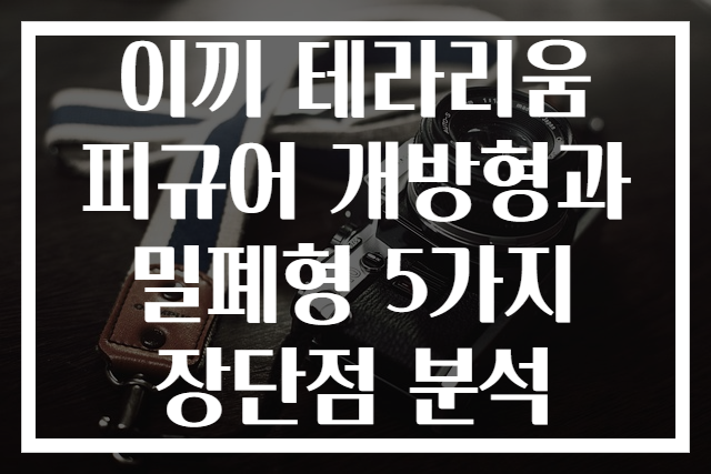 이끼 테라리움 피규어 개방형과 밀폐형 5가지 장단점 분석