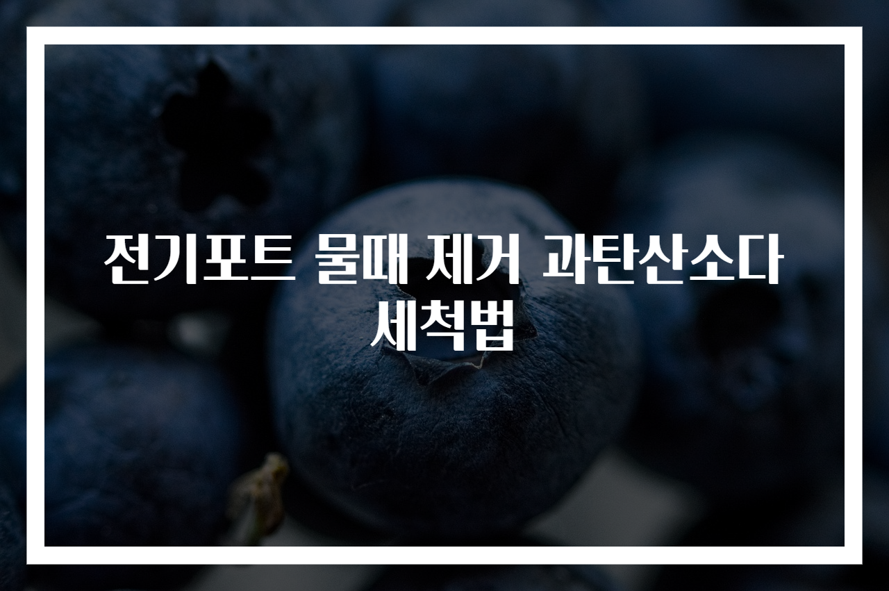전기포트 물때 제거 과탄산소다 세척법
