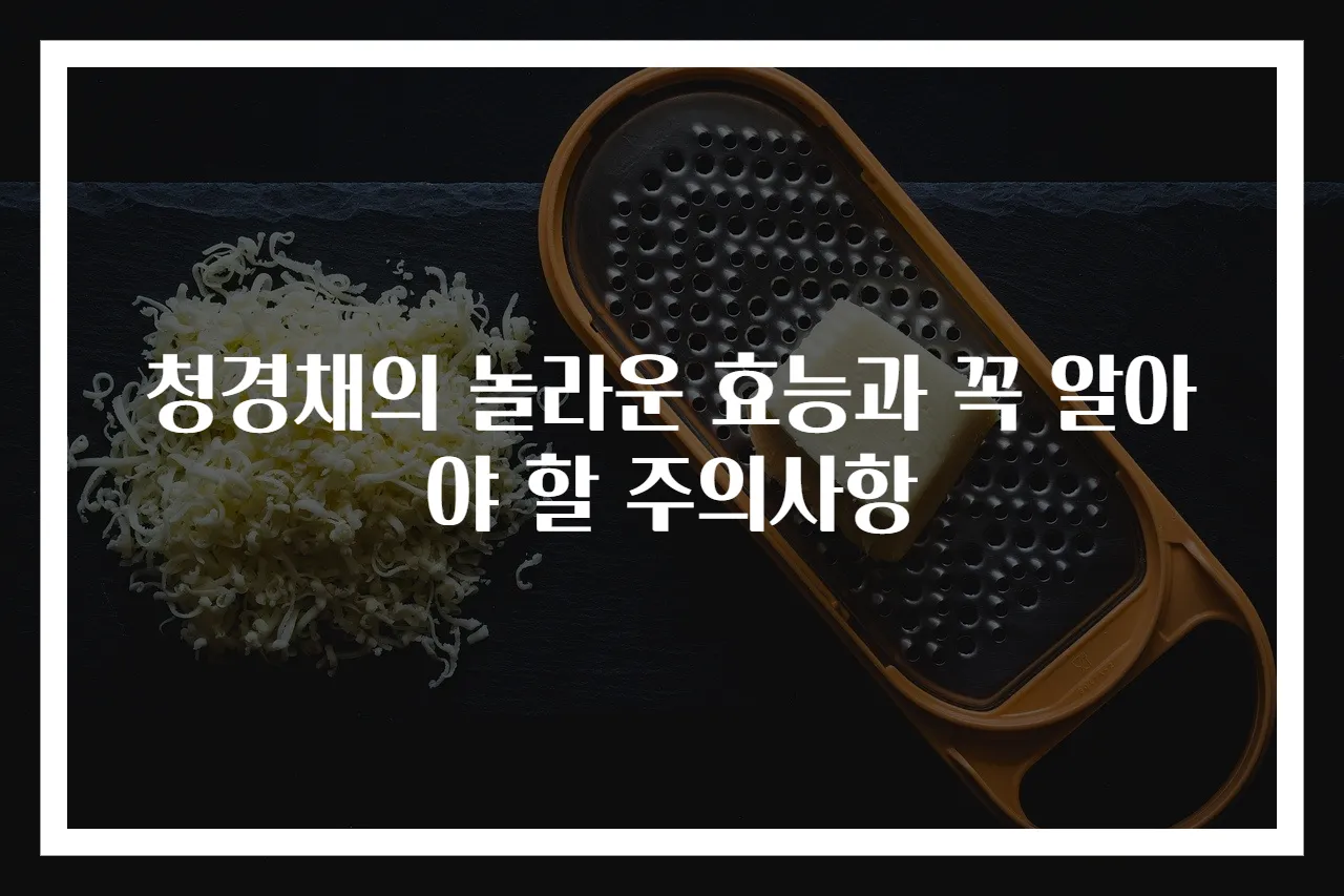청경채의 놀라운 효능과 꼭 알아야 할 주의사항