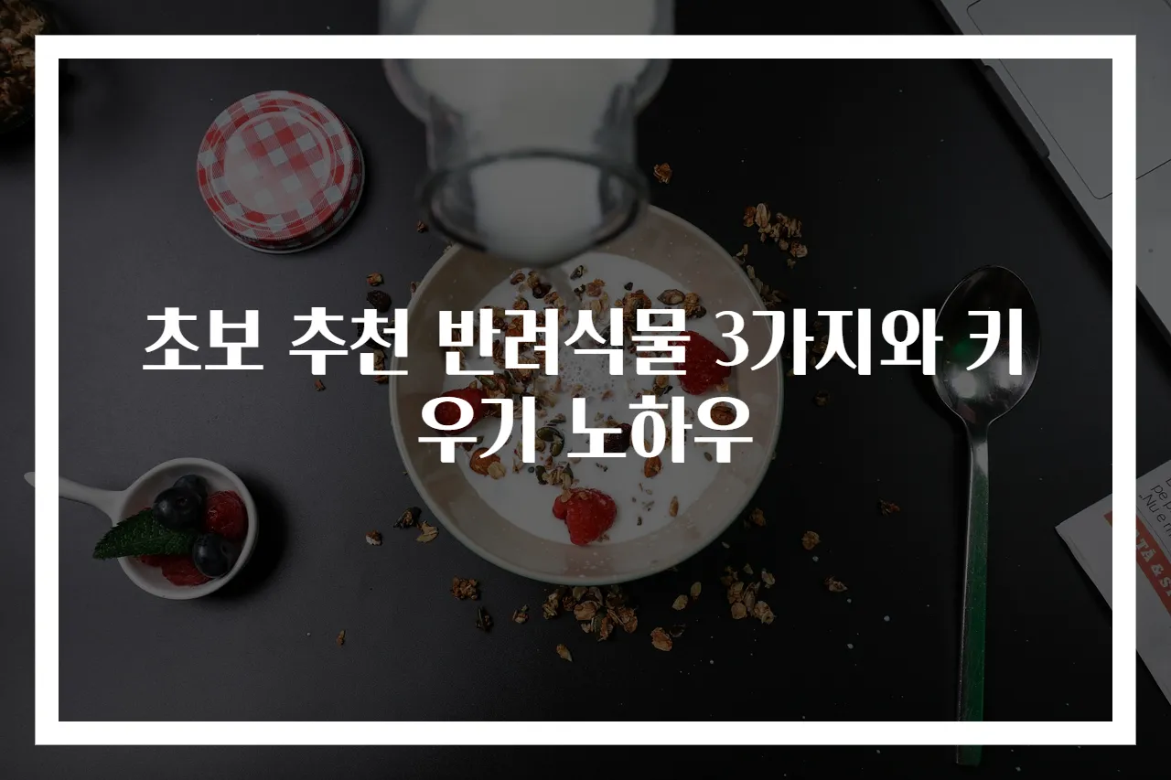 초보 추천 반려식물 3가지와 키우기 노하우